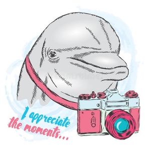 海豚优选二手摄影器材