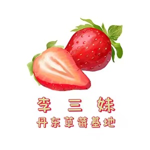 李三妹 丹东草莓基地