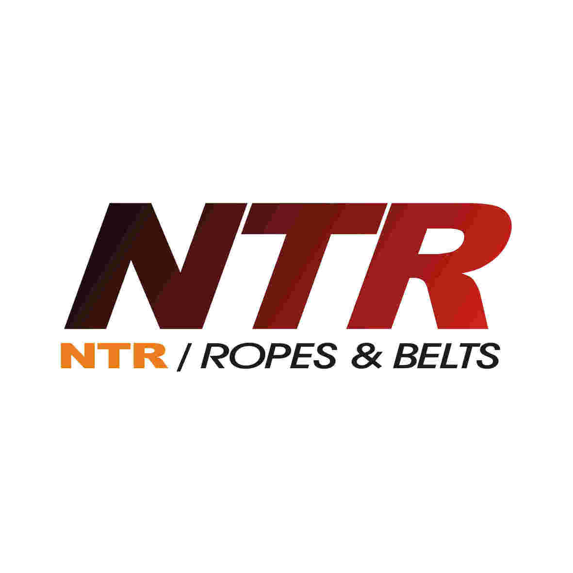NTR企业店
