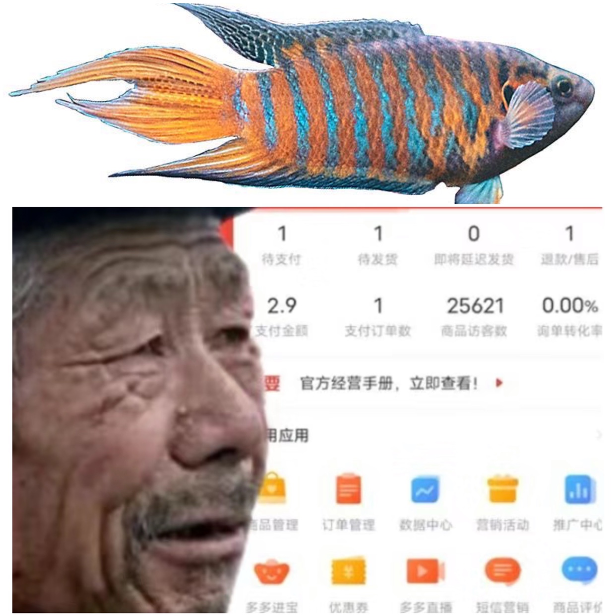 阳江原生鱼