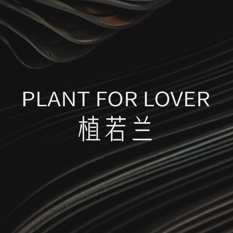 PLANT FOR LOVER植若兰