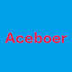 Aceboer婴童用品店