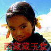 西藏藏玉堂