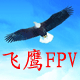 飞鹰FPV平价安防店