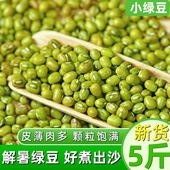 解暑绿豆5斤新鲜农家绿豆汤粥糕原料可脱皮发芽专用杂粮小粒绿豆