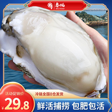 惠蚝乳山生蚝鲜活带箱5斤特大生蚝肉一级海鲜水产即食牡蛎海蛎子