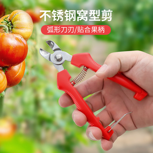 不锈钢窝型摘果剪番茄苹果专用剪橘子采摘剪水果果柄凹形修枝剪刀