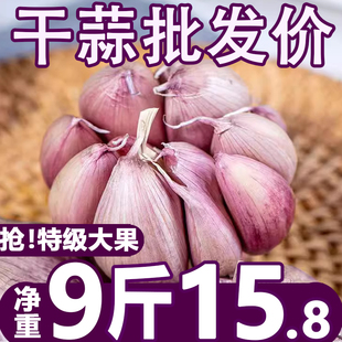 紫皮新干蒜蒜头种子新鲜整箱批发 山东金乡大蒜头干蒜5斤2023当季