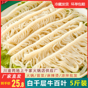 重庆火锅专用涮菜食材商用生鲜牛百叶 千层肚白毛肚新鲜冷冻5斤装