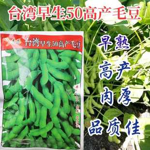 台湾早生50毛豆种子特早熟50天高产毛豆种子95-1青豆黄豆毛豆种子