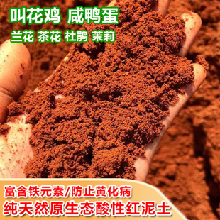 红土杜鹃兰花茶花茉莉专用红泥土颗粒酸性营养土叫花鸡茶叶蛋粘土