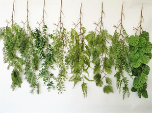 新款仿真绿植壁挂吊兰垂吊绿色植物波斯草蕨草墙壁装饰蕨叶藤条