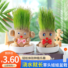 草头娃娃创意小盆栽桌面可爱植物趣味长草娃娃办公室儿童水培绿植