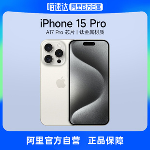 Pro 阿里自营 支持移动联通电信5G 双卡双待游戏手机 iPhone Apple 苹果