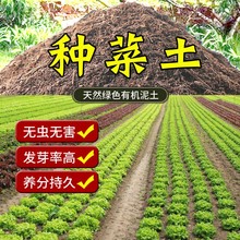 阳台种菜专用土100斤田园土泥土种花蔬菜营养土养花通用型土壤肥