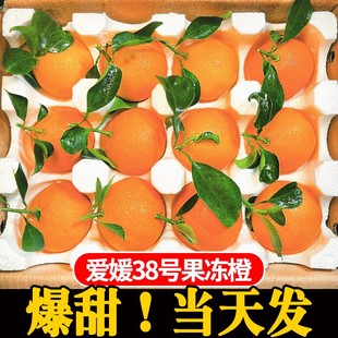 整箱大果蜜橘柑桔 包邮 四川爱媛38号果冻橙10斤新鲜水果甜橙子当季