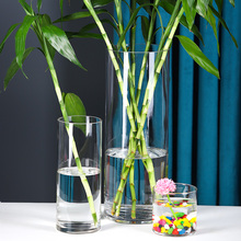包邮 落地客厅摆件插花干花北欧玻璃花瓶透明直筒水培富贵竹水养瓶