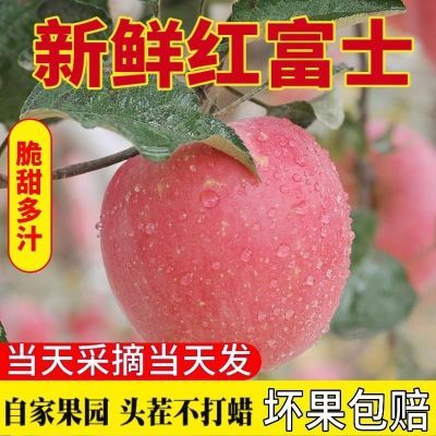 【脆甜当季】正宗山东红富士苹果脆甜红富士新鲜水果批发一整箱