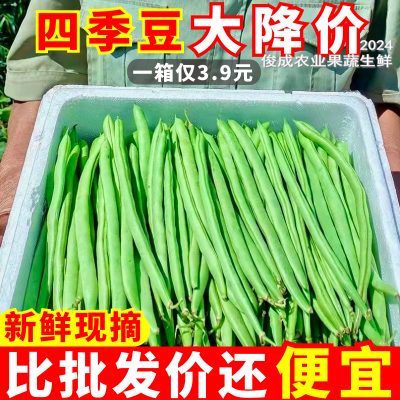 【超级低价】新鲜四季豆批发整箱豆角新鲜蔬菜青豆刀豆芸豆扁豆