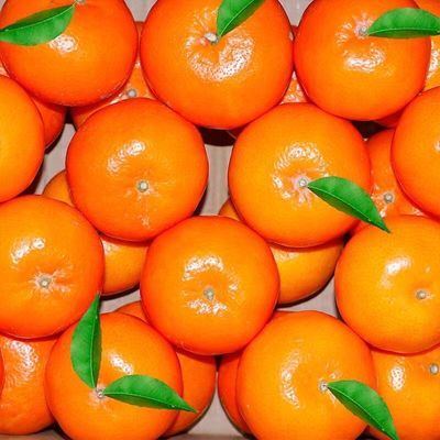 广西沃柑应季新鲜水果橘子桔子多规格可选【7天内发货】