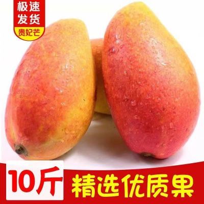 【突破低价】海南贵妃芒果树上熟超甜新鲜水果薄皮小台芒金煌芒果
