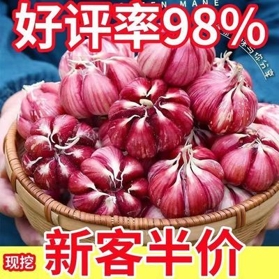 邳州特产原产地价格更实惠糖醋新鲜24鲜蒜紫皮大蒜