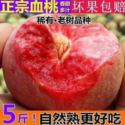 【正宗】血桃当季桃子新鲜水果现摘时令孕妇脆桃红心毛桃整箱批发