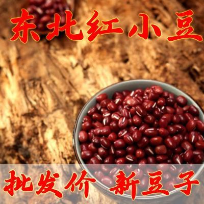 东北2023批发红小豆新货农家红豆五谷杂粮新鲜煮粥豆浆豆沙