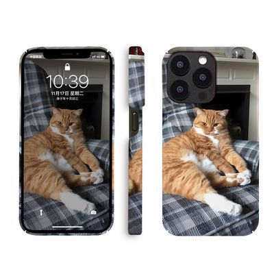 慵懒猫咪苹果15PRO手机壳iPhone14/13卡通12菲林硬套11