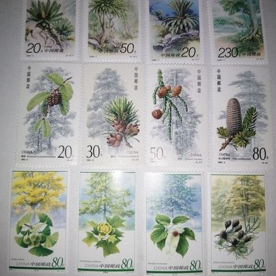 1992邮票方连杉树植物活化石 套票 植物邮票