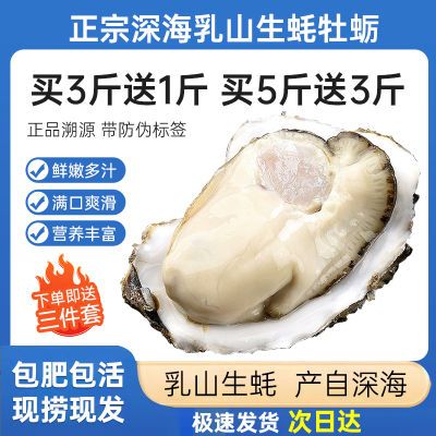 特价包邮乳山生蚝鲜活新鲜海蛎子8特大海鲜牡蛎肉水产4斤批发价