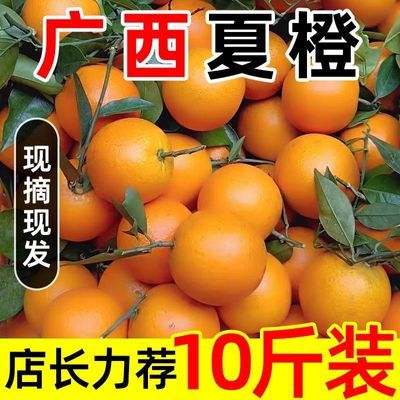 【10斤更划算】广西夏橙新鲜水果超甜3/5斤批发非果冻橙冰糖橙