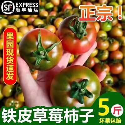 【新鲜】碱地铁皮草莓柿子丹东碱地铁皮西红柿自然熟水果一整箱