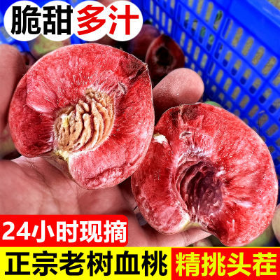 血桃新鲜现摘朱砂红脆桃应季孕妇水果离核红肉毛桃子一整箱水蜜桃