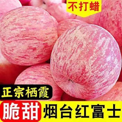 【超甜】正宗红富士苹果当季新鲜水果冰糖心脆甜丑苹果一整箱批发