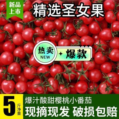 【彩箱精品】新鲜樱桃圣女果小番茄应季酸甜孕妇水果千禧小柿子