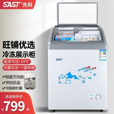 SAST/先科冷冻柜小型商用展示柜雪糕柜家用大容量冷冻冷藏冰柜