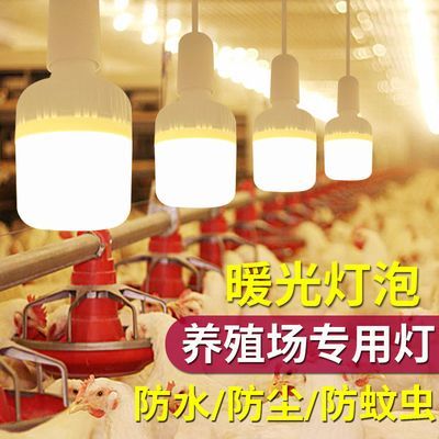 蛋鸡灯黄光灯泡蛋鸡养殖专用led灯E27养鸡场节能暖黄光led防水
