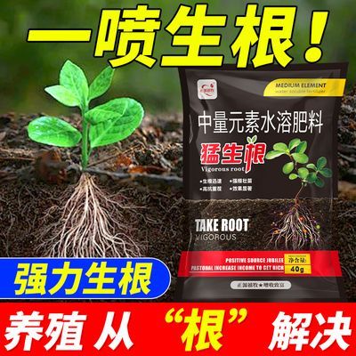 养根护根强力生根根多苗壮水溶肥易吸收快速生根通用猛生根生根剂