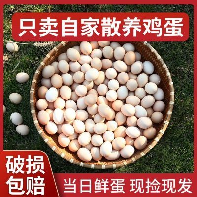 【抢】50枚正宗土鸡蛋新鲜农家散养鸡蛋柴鸡蛋宝宝蛋整箱10枚批发