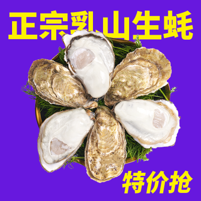【鲜活生蚝批发】新鲜特大海蛎子5斤带箱牡蛎水10斤商用整箱批发