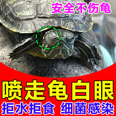 乌龟白眼病专用药特效药眼药水眼睛红肿睁不开发炎巴西龟草龟