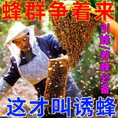 新手诱蜂专用神器蜂蜡诱蜂用收蜂引蜂招蜂诱蜂水膏蜜蜂信息素香精