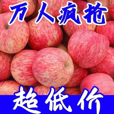 超低价】陕西红富士苹果应季水果新鲜苹果冰糖心脆苹果批发一整箱
