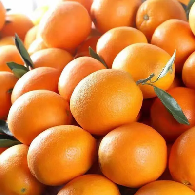 新鲜水果一箱产地发货水果酸酸甜甜清香橙子