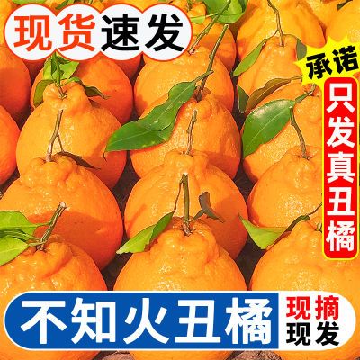四川不知火丑橘新鲜水果10斤当季甜丑八怪耙耙桔柑橘子彩箱批发价
