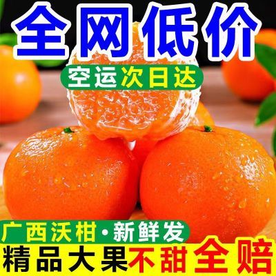 【精品大果】正宗新鲜沃柑当季水果柑橘桔子橘子非广西武鸣丑橘