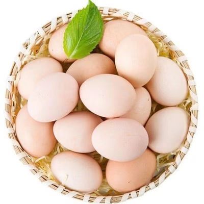 10枚鸡蛋农家散养鸡蛋土鸡蛋好吃
