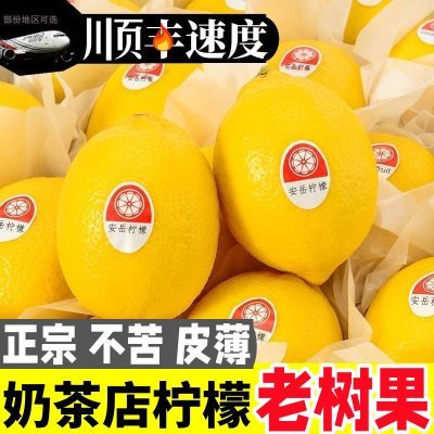 柠檬安岳黄柠檬新鲜柠檬生鲜水果柠檬薄皮柠檬泡水整箱批发多规格