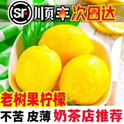 【次日达】四川安岳黄柠檬当季现货泡水整箱批发皮薄多汁新鲜水果